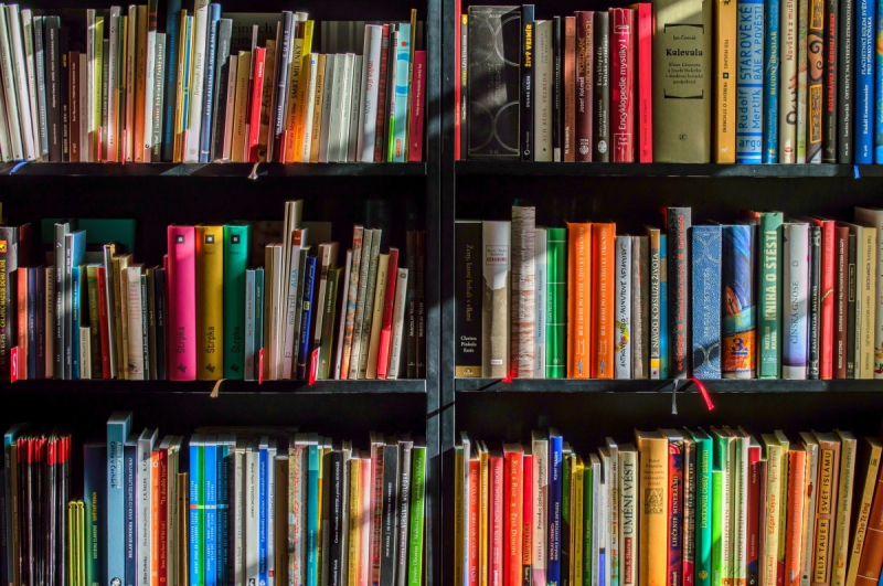 ecommerce-COTIGNAC-min_books_bookstore_book_reading_shop_writer_sale_books_read-822866